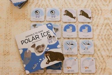 Sassi Games - Memory Matching - Animals to Save - Polar Ice
