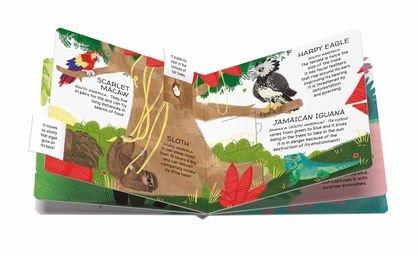 Sassi Games - Memory Matching - Animals to Save - Tropical Forests