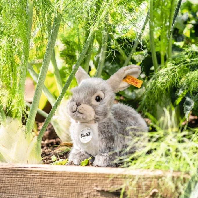 Steiff Dormilli Rabbit, 21 cm