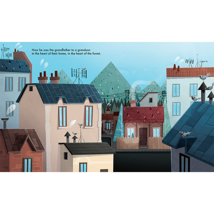 Sassi Story Book - A  Grandfather's Heart