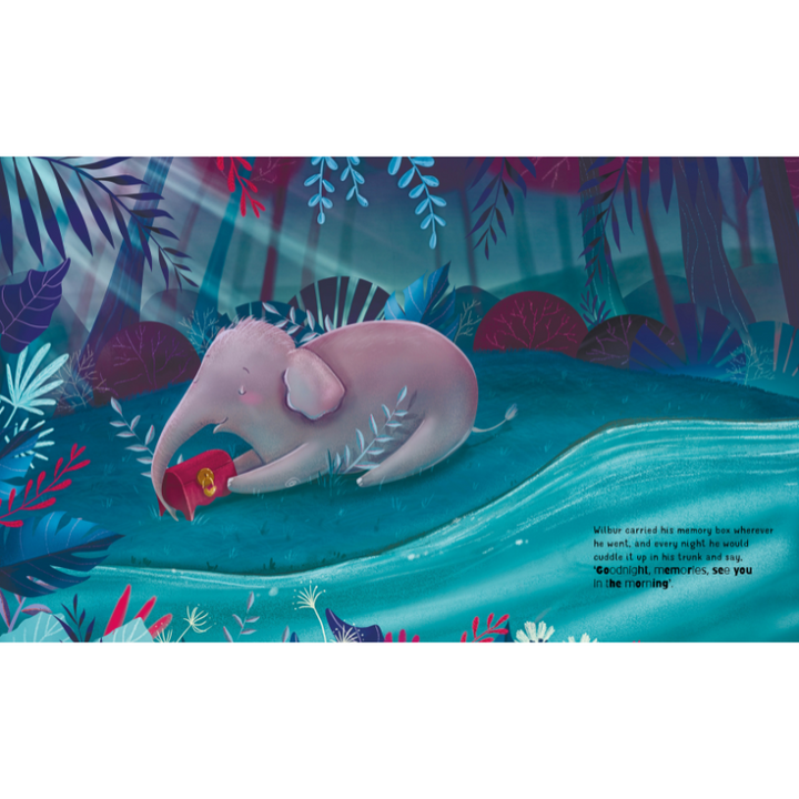 Sassi Story Book - Wilbur's Memory Box
