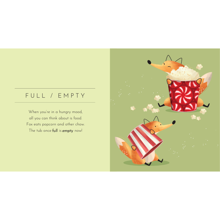 Sassi Touch & Feel Pocket Book - Opposites