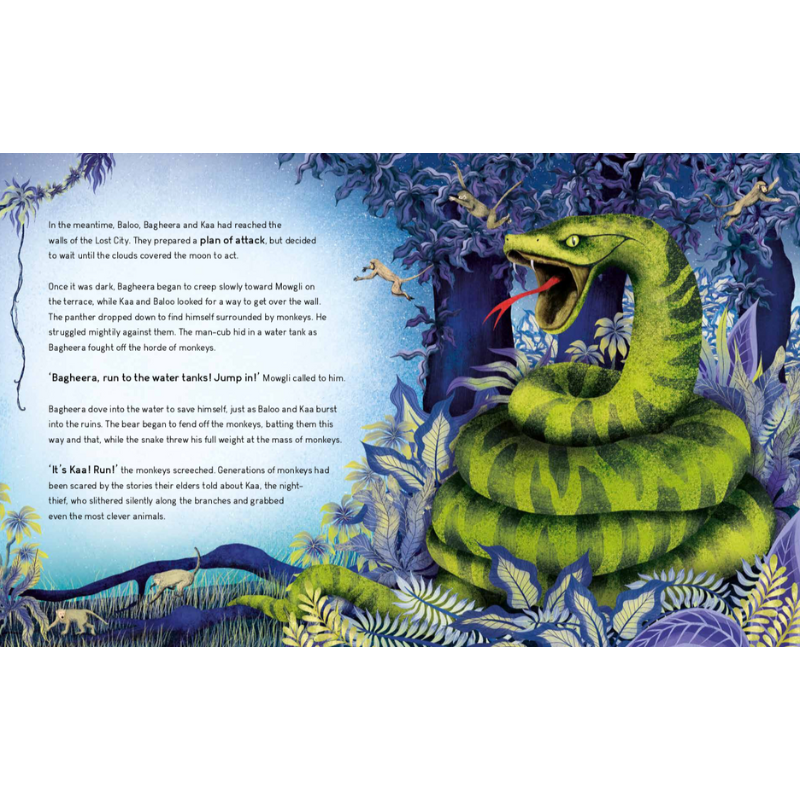 Sassi Story Book - The Jungle Book
