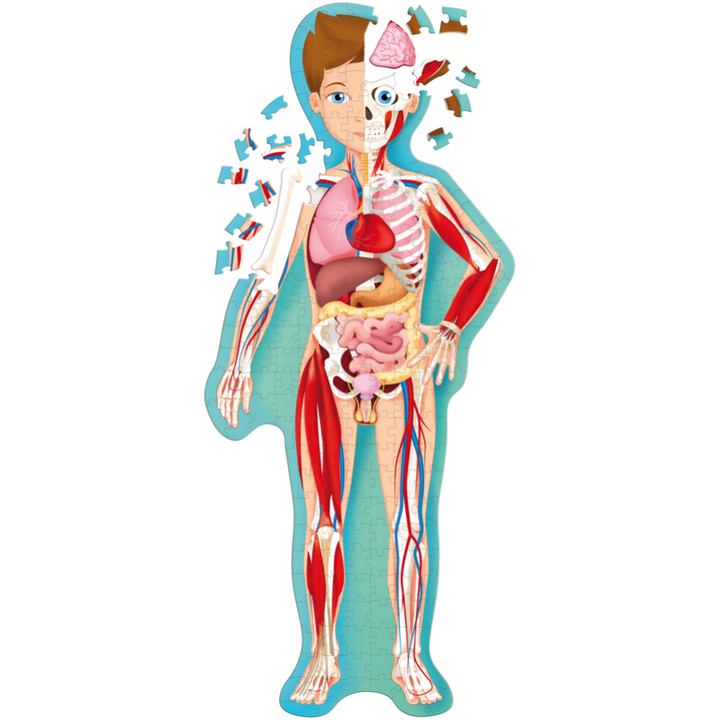 Sassi Travel, Learn and Explore - Puzzle and Book Set - The Human Body, 200 pcs