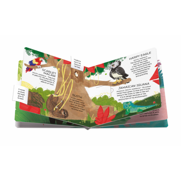 Sassi Games - Memory Matching - Animals to Save - Tropical Forests