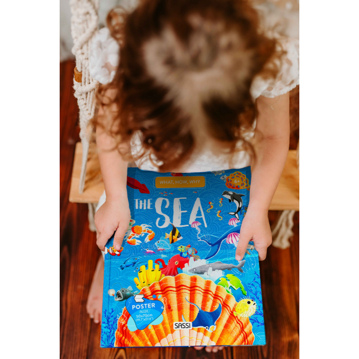 Sassi What How and Why The Sea Book and Poster