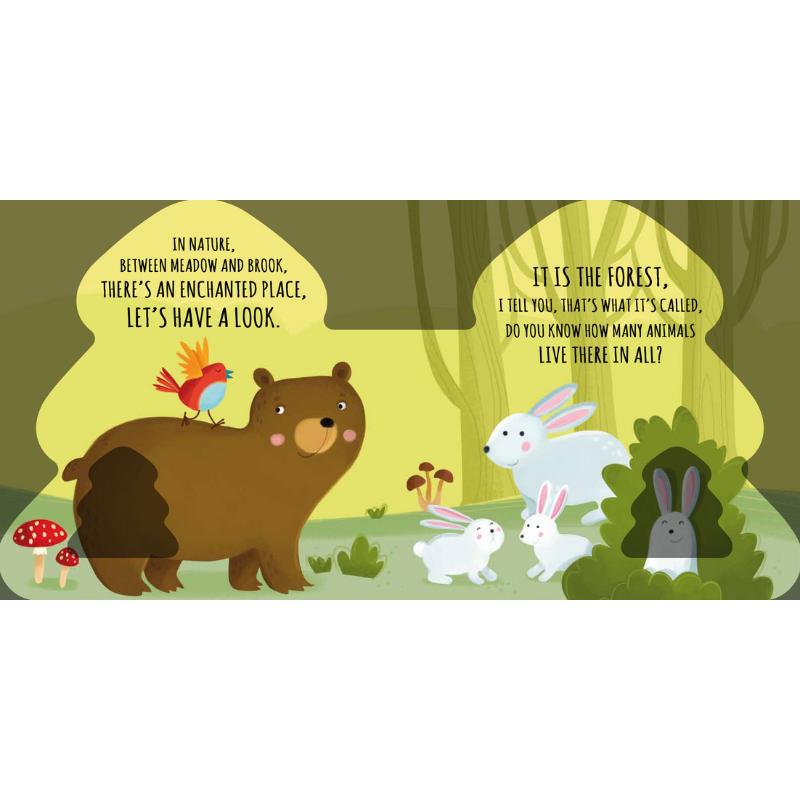 Sassi Shaped Board Book -  Friends of the Forest