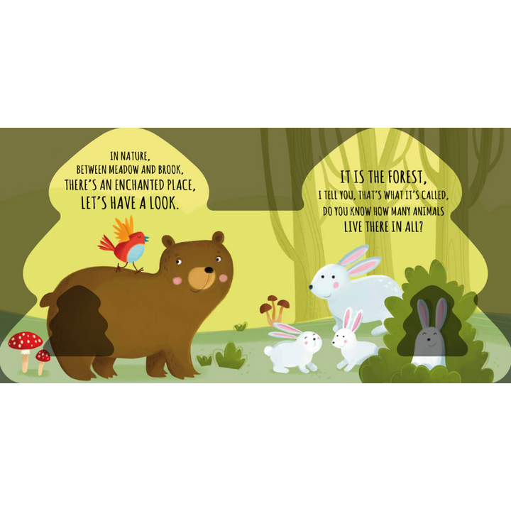 Sassi Shaped Board Book -  Friends of the Forest