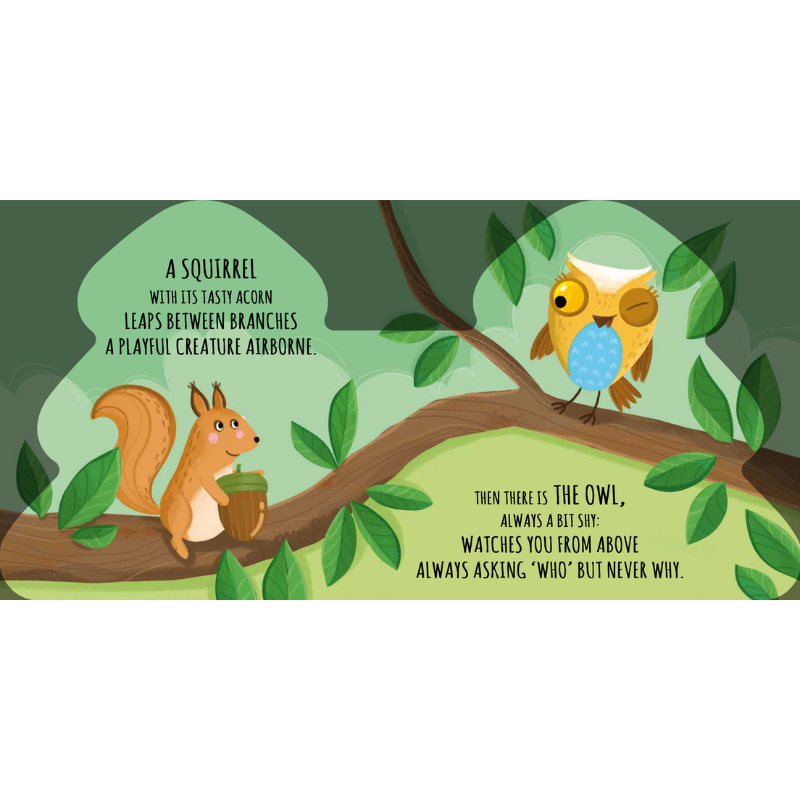Sassi Shaped Board Book -  Friends of the Forest