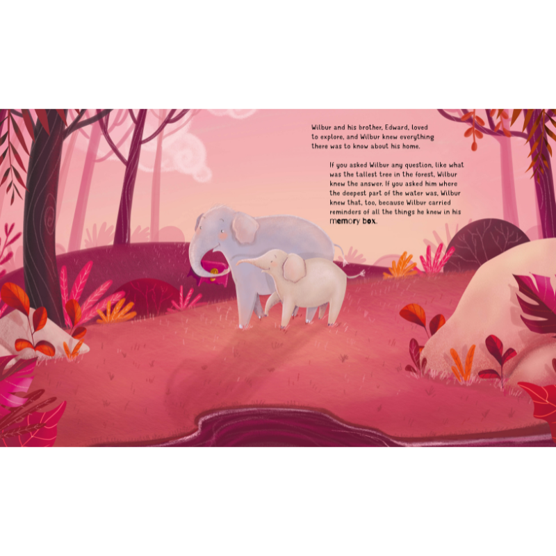 Sassi Story Book - Wilbur's Memory Box
