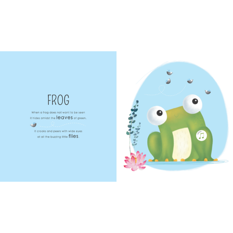 Sassi Sound Book - Who Lives in the Jungle