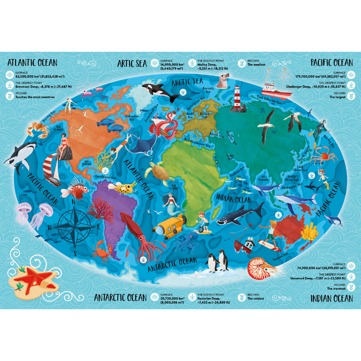 Sassi What How and Why The Sea Book and Poster