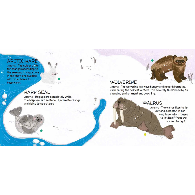 Sassi Games - Memory Matching - Animals to Save - Polar Ice