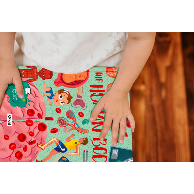 Sassi What How and Why The Human Body Book and Poster