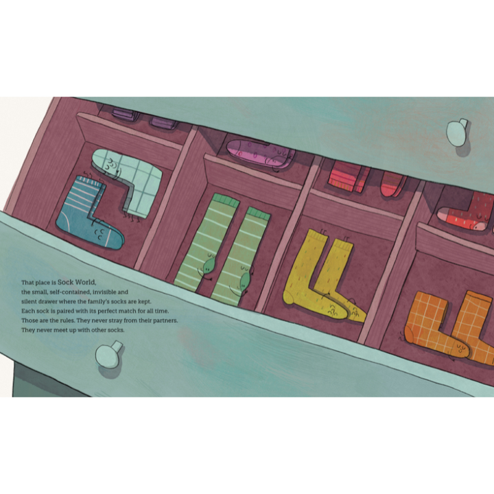 Sassi Story Book - Sock World