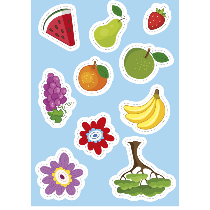 Sassi Stickers and Activities Book - Nature