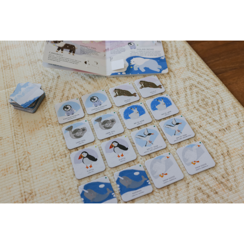 Sassi Games - Memory Matching - Animals to Save - Polar Ice