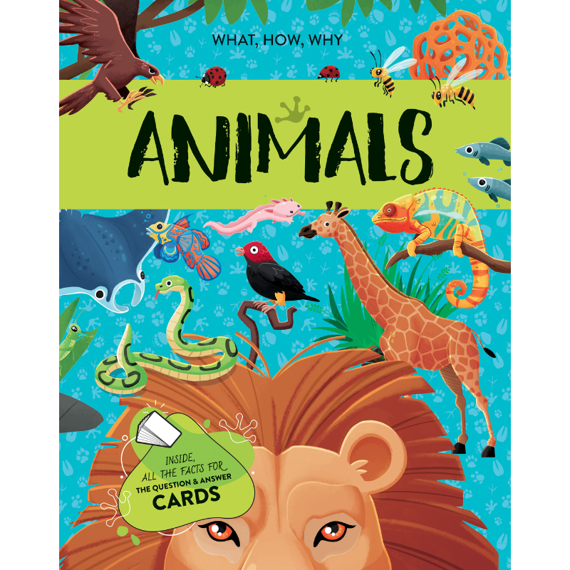 Sassi The Ultimate Atlas and Puzzle Set - Animals 3D Construction