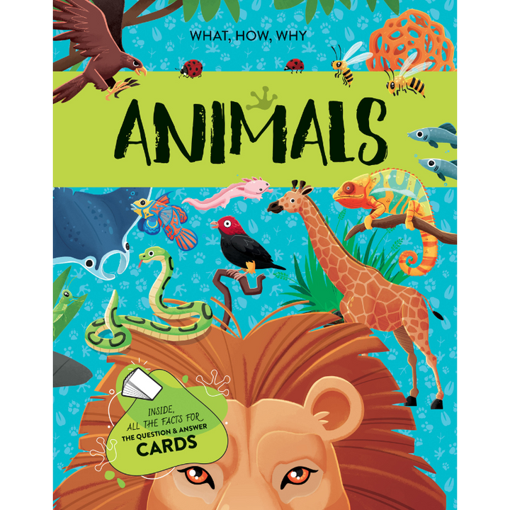 Sassi The Ultimate Atlas and Puzzle Set - Animals 3D Construction