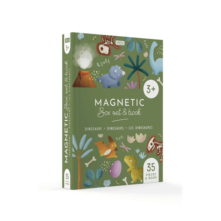 Sassi Magnetic Box Set - Dinosaurs