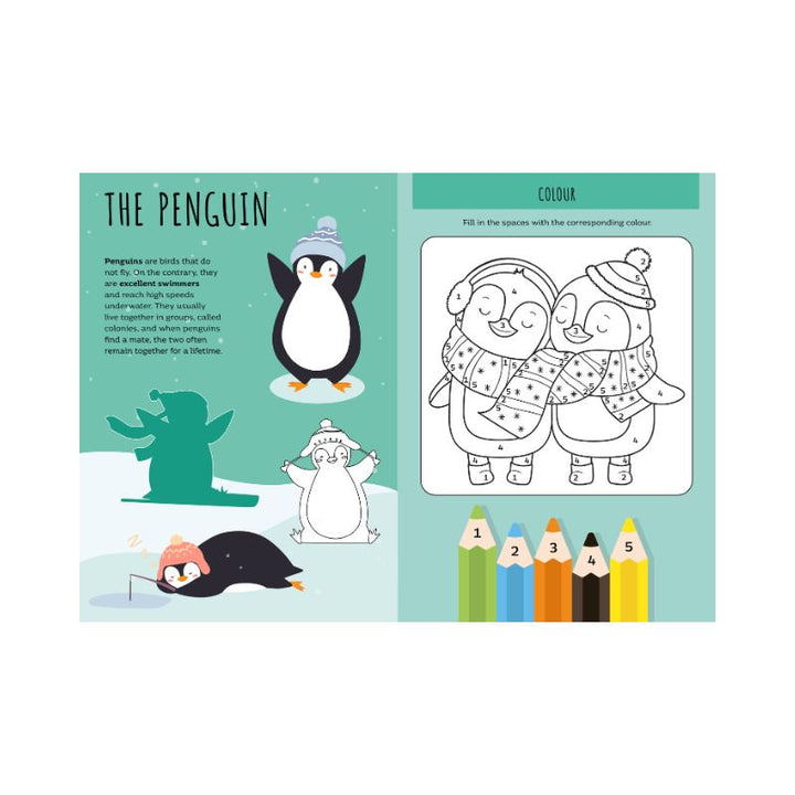 Sassi Stickers and Activities Book - World of Ice