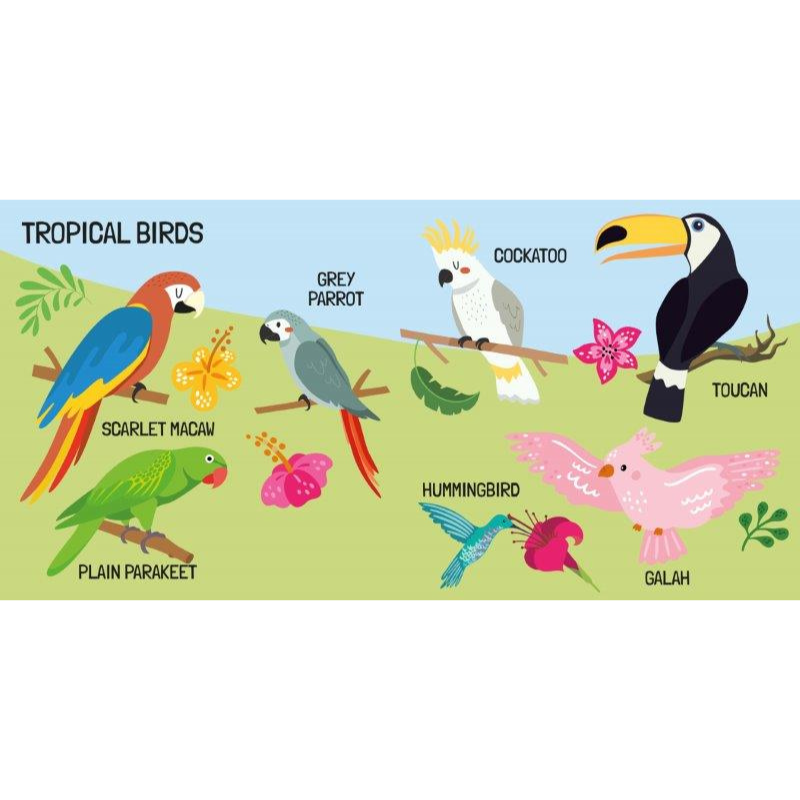 Sassi 3D Puzzle and Book Set - World of Birds, 40 pcs
