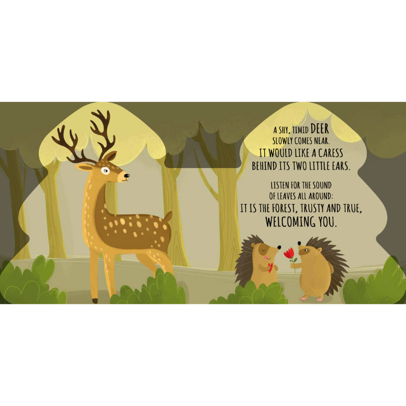 Sassi Shaped Board Book -  Friends of the Forest
