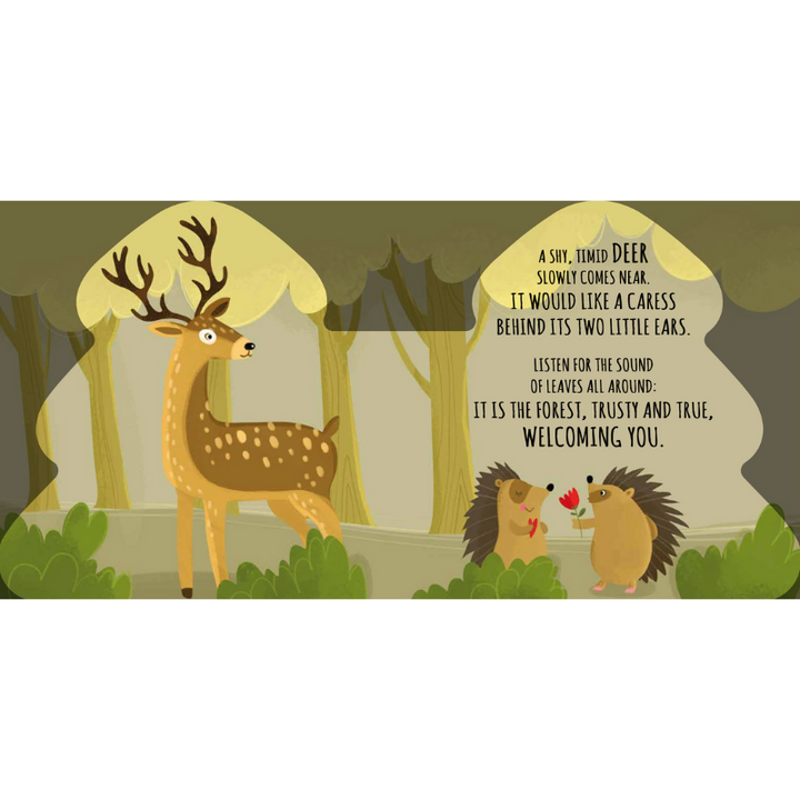 Sassi Shaped Board Book -  Friends of the Forest