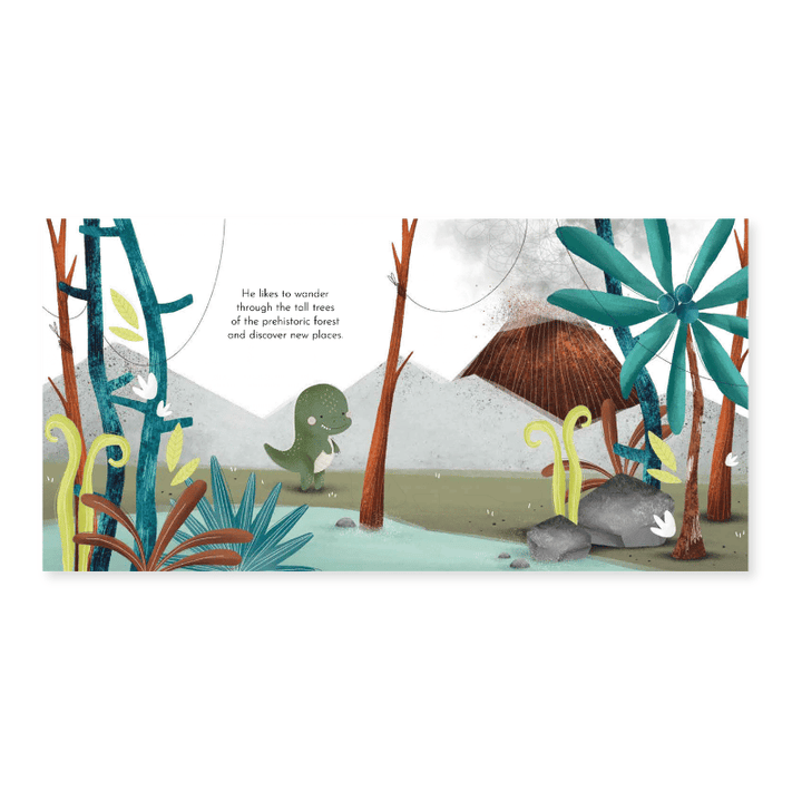 Sassi Board Book - Cracky's Strength
