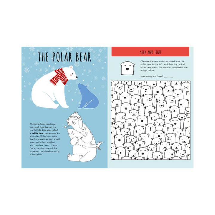 Sassi Stickers and Activities Book - World of Ice