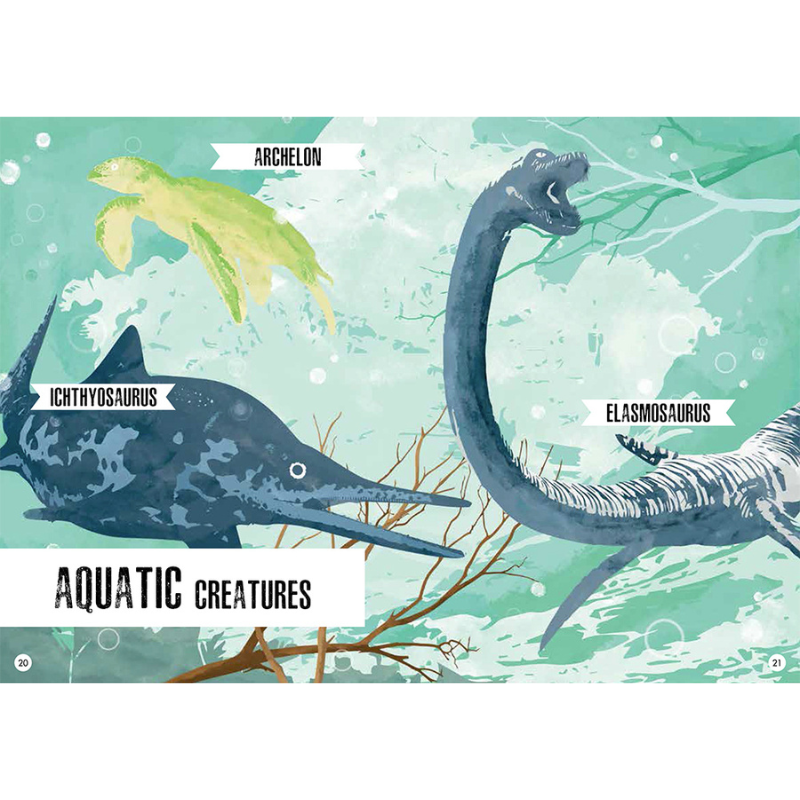 Sassi 3D Assemble and Book - The Age of the Dinosaurs - Stegosaurus