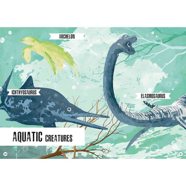 Sassi 3D Assemble and Book - The Age of the Dinosaurs - Stegosaurus