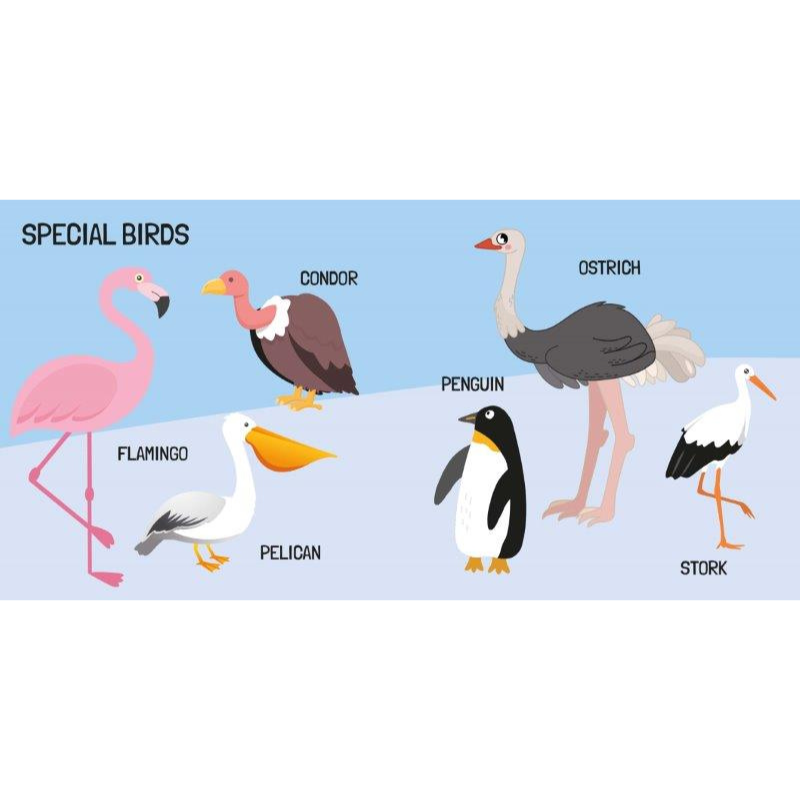 Sassi 3D Puzzle and Book Set - World of Birds, 40 pcs