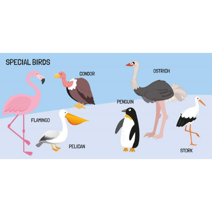 Sassi 3D Puzzle and Book Set - World of Birds, 40 pcs