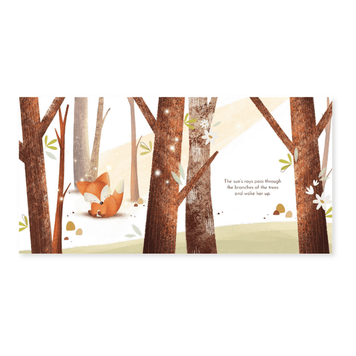 Sassi Board Book - Crunchy's Cleverness