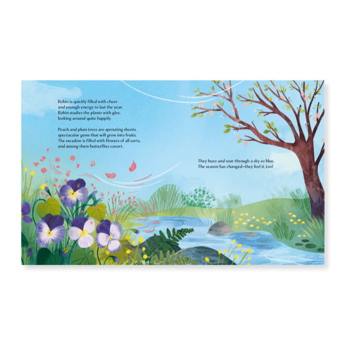 Sassi Story Book - Spring