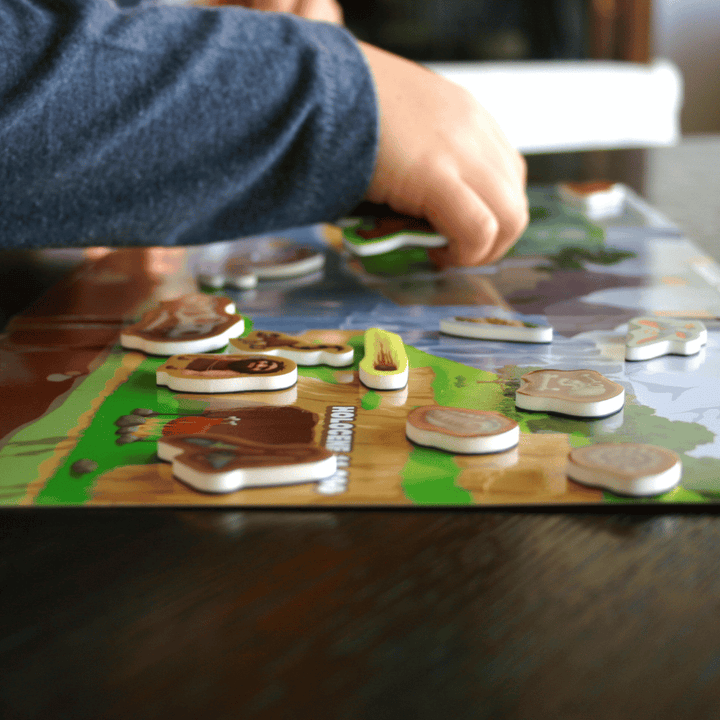 Miniland On The Go Discover Evolution Magnetic Game