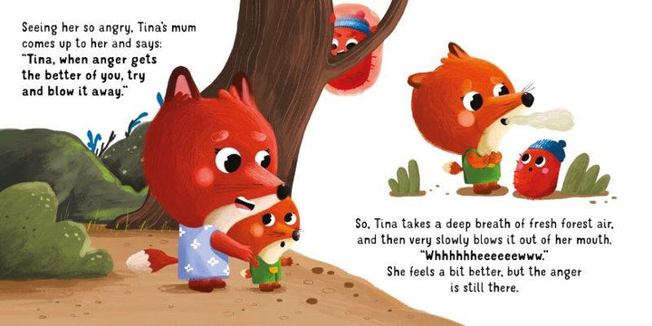 Sassi Board Book - Emotions - Feeling Angry