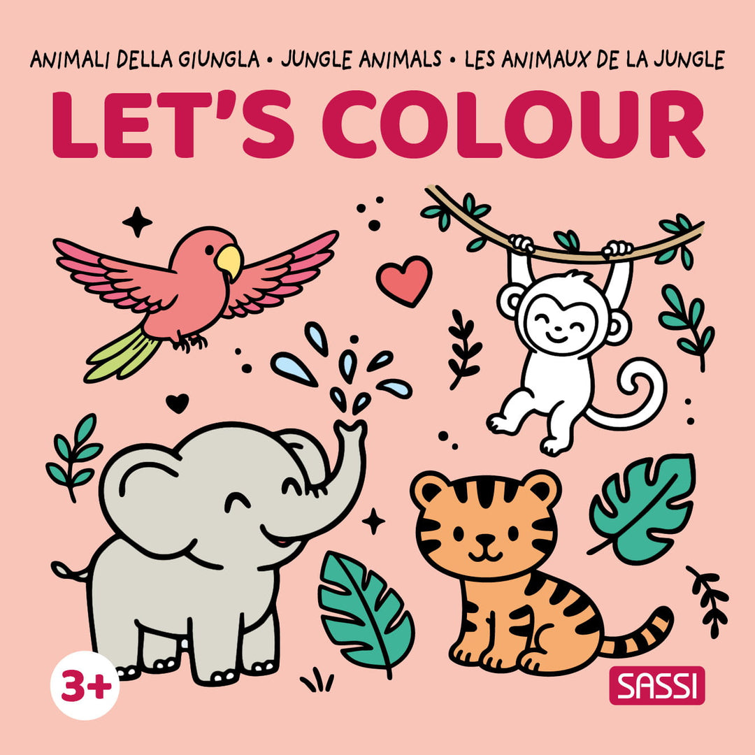 Sassi Colouring Book Square Pack, 20 pcs and FREE CDU