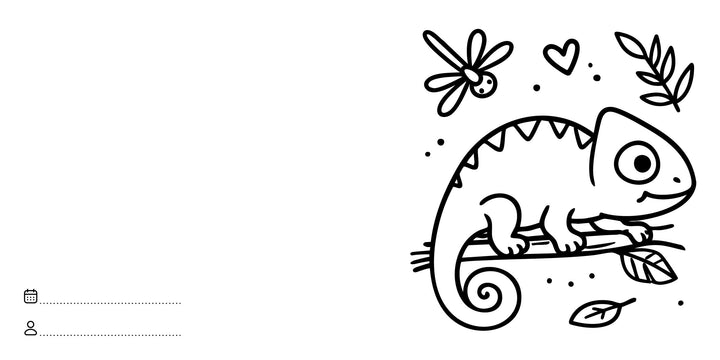 Sassi Colouring Book Square - Jungle Animals