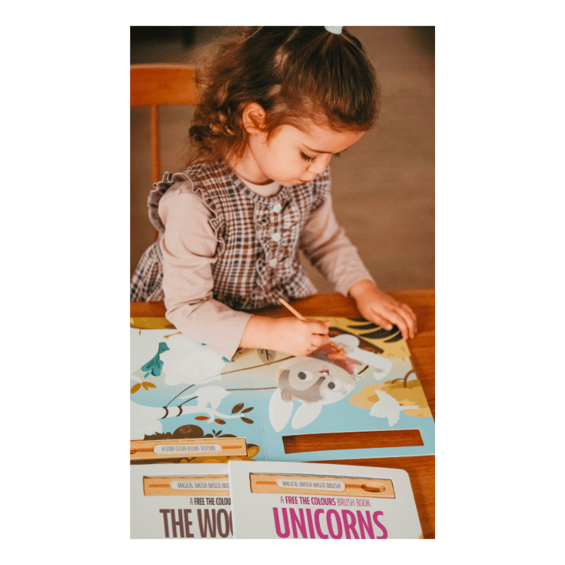 Sassi Free the Colours Reusable Paint Brush Book - The Farm