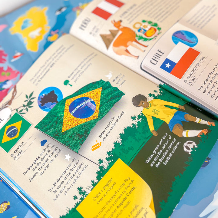 Sassi What How and Why Flags Book and Poster