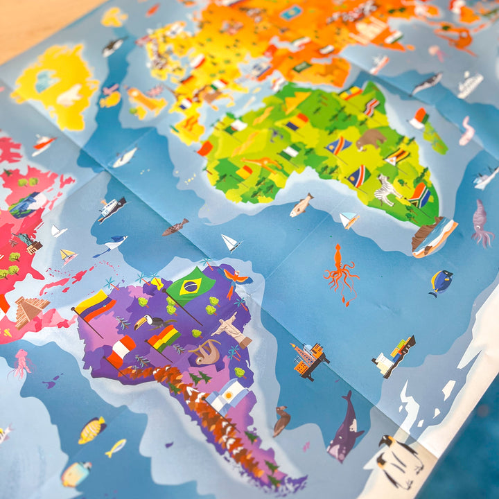 Sassi What How and Why Flags Book and Poster