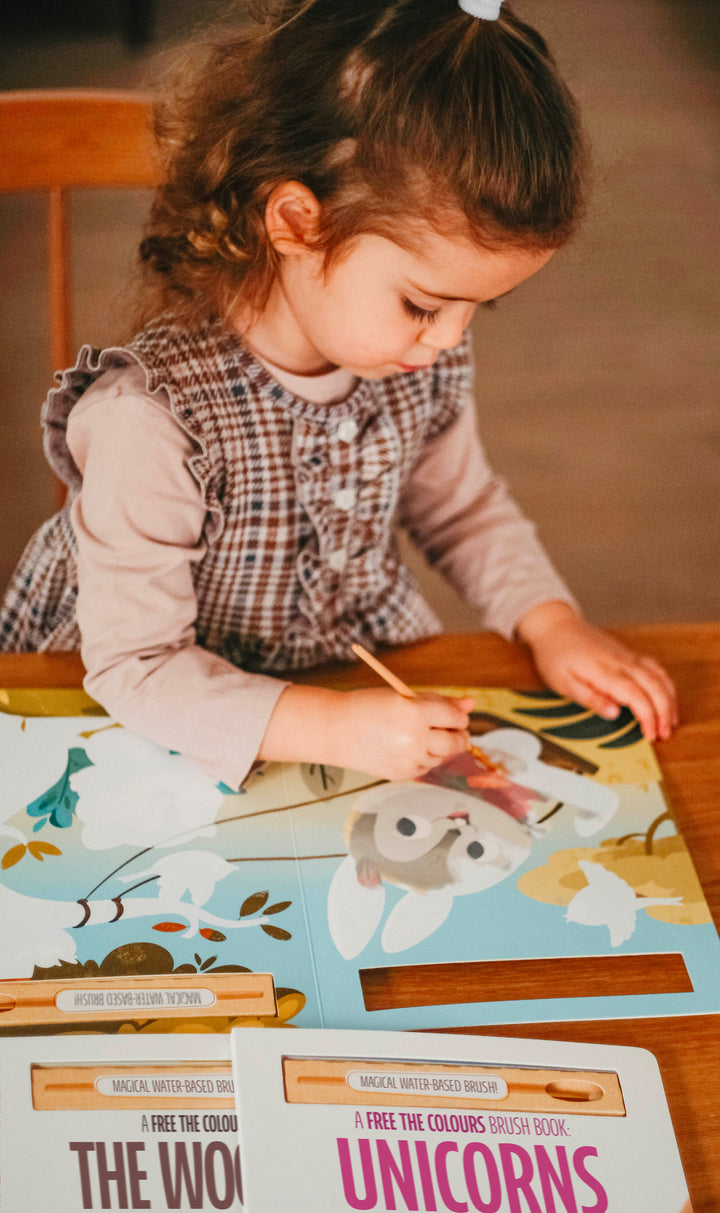 Sassi Free the Colours Reusable Paint Brush Book - The Farm