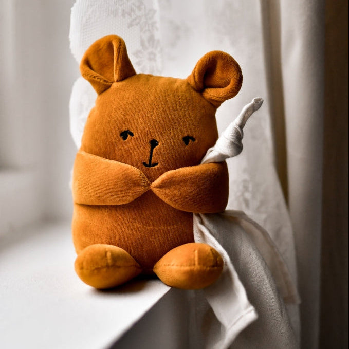 Brown teddy bear holding a white cloth against a light curtain background