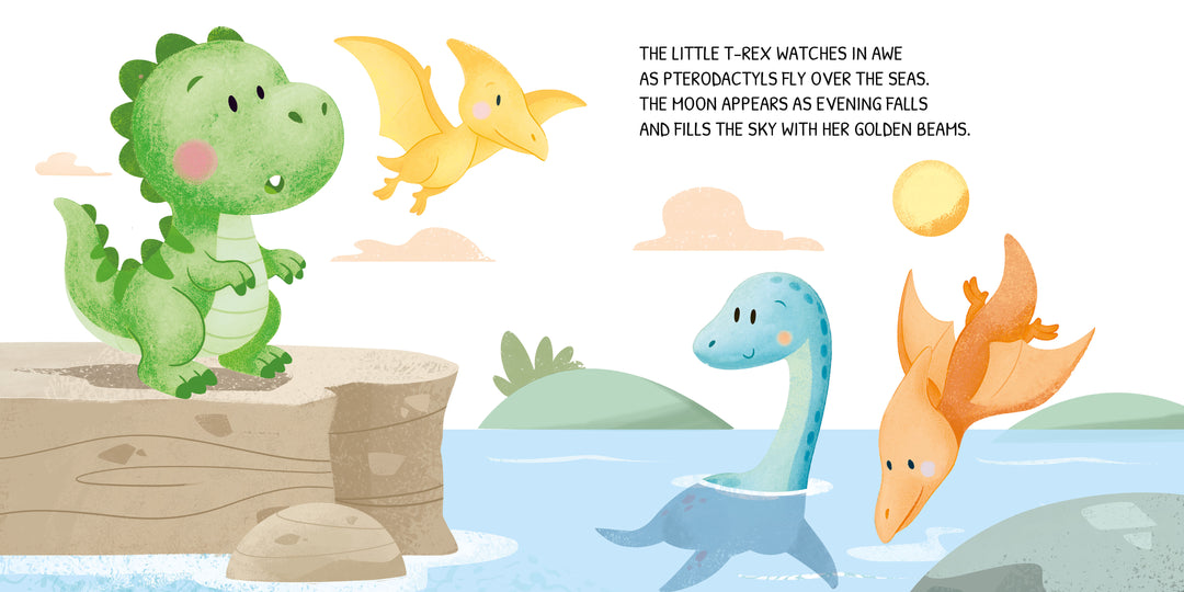 Sassi Board Book - Glow In The Dark - Dinosaurs