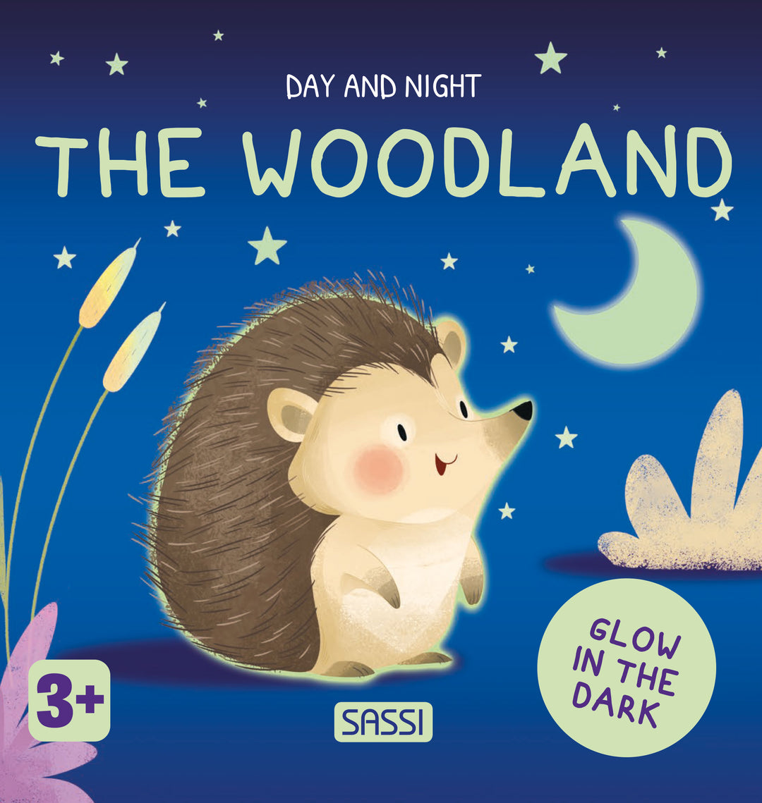 Sassi Board Book - Glow In The Dark - The Woodland