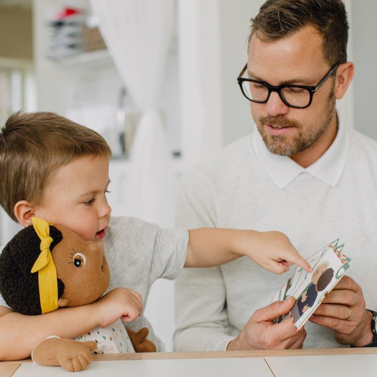 Rubens Barn Regulation Cards