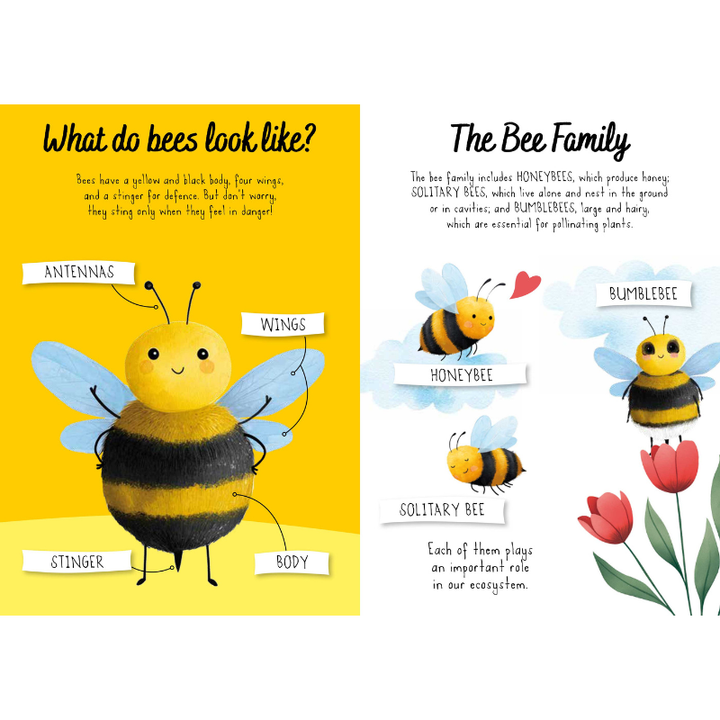 Sassi Magic Water Puzzle & Book Set - Bees