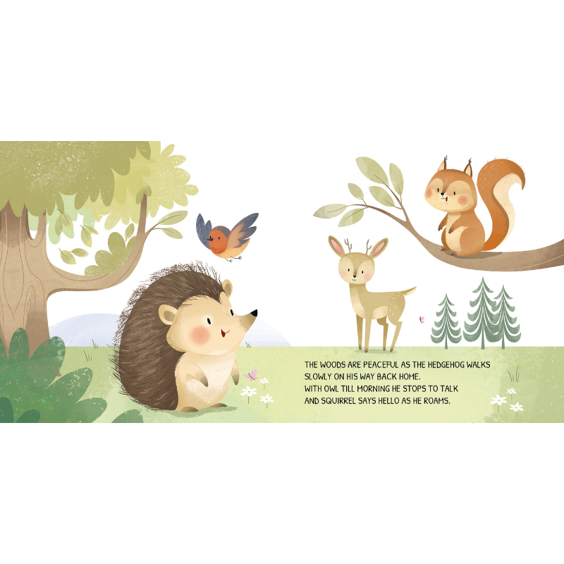 Sassi Board Book - Glow In The Dark - The Woodland